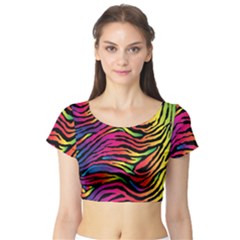 Rainbow Zebra Short Sleeve Crop Top (tight Fit) by Mariart