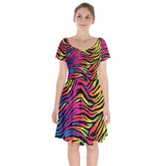 Rainbow Zebra Short Sleeve Bardot Dress by Mariart