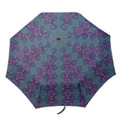 Retro Vintage Bleeding Hearts Pattern Folding Umbrellas by pepitasart