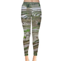 Rice Fields Terraced Terrace Leggings  by Nexatart