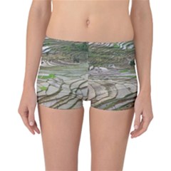 Rice Fields Terraced Terrace Reversible Boyleg Bikini Bottoms by Nexatart