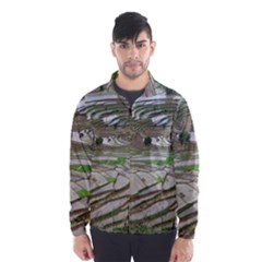 Rice Fields Terraced Terrace Wind Breaker (men) by Nexatart