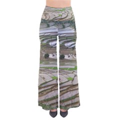 Rice Fields Terraced Terrace Pants by Nexatart