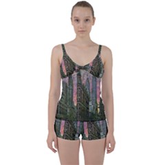 Flat Iron Building Toronto Ontario Tie Front Two Piece Tankini by Nexatart