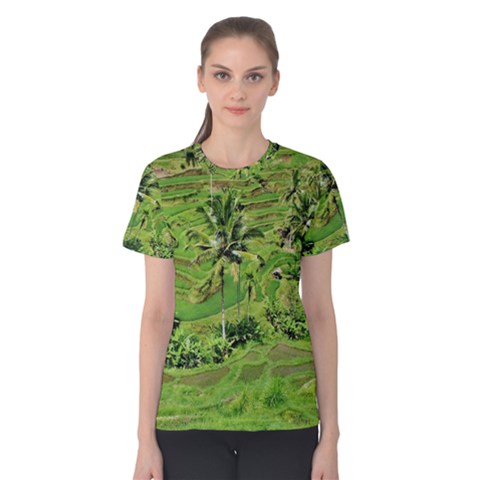 Greenery Paddy Fields Rice Crops Women s Cotton Tee by Nexatart