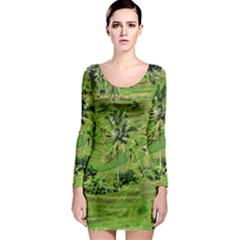 Greenery Paddy Fields Rice Crops Long Sleeve Bodycon Dress by Nexatart