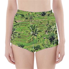 Greenery Paddy Fields Rice Crops High-waisted Bikini Bottoms by Nexatart