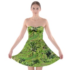 Greenery Paddy Fields Rice Crops Strapless Bra Top Dress by Nexatart