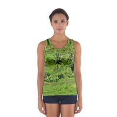 Greenery Paddy Fields Rice Crops Sport Tank Top  by Nexatart