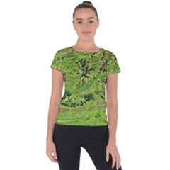 Greenery Paddy Fields Rice Crops Short Sleeve Sports Top  by Nexatart