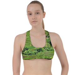 Greenery Paddy Fields Rice Crops Criss Cross Racerback Sports Bra by Nexatart