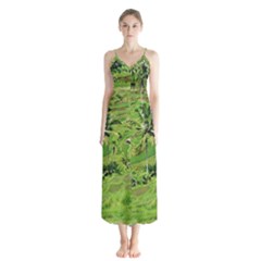 Greenery Paddy Fields Rice Crops Button Up Chiffon Maxi Dress by Nexatart