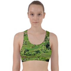 Greenery Paddy Fields Rice Crops Back Weave Sports Bra by Nexatart