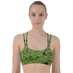 Greenery Paddy Fields Rice Crops Line Them Up Sports Bra by Nexatart