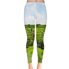 Bali Rice Terraces Landscape Rice Leggings  by Nexatart