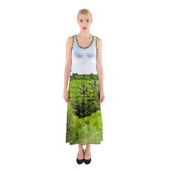 Bali Rice Terraces Landscape Rice Sleeveless Maxi Dress by Nexatart