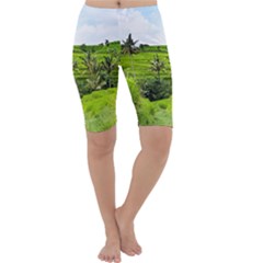 Bali Rice Terraces Landscape Rice Cropped Leggings  by Nexatart