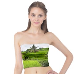 Bali Rice Terraces Landscape Rice Tube Top by Nexatart