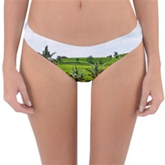 Bali Rice Terraces Landscape Rice Reversible Hipster Bikini Bottoms