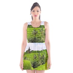 Bali Rice Terraces Landscape Rice Scoop Neck Skater Dress by Nexatart