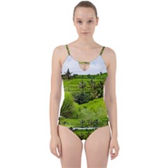 Bali Rice Terraces Landscape Rice Cut Out Top Tankini Set