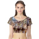 Baroque Church Collegiate Church Short Sleeve Crop Top (Tight Fit) View1