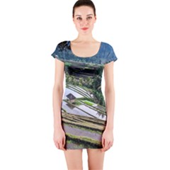 Rice Terrace Rice Fields Short Sleeve Bodycon Dress by Nexatart