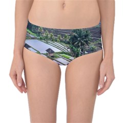 Rice Terrace Rice Fields Mid-waist Bikini Bottoms by Nexatart