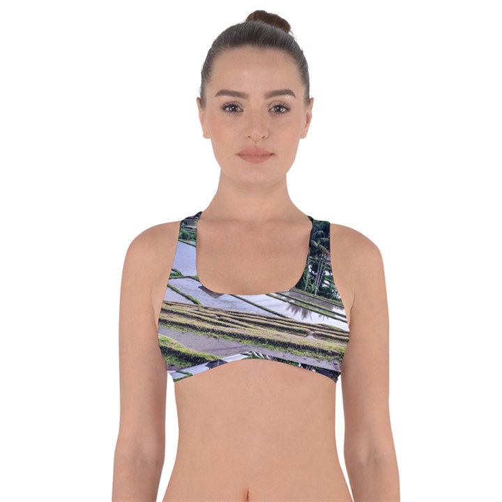 Rice Terrace Rice Fields Got No Strings Sports Bra