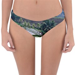 Rice Terrace Rice Fields Reversible Hipster Bikini Bottoms by Nexatart