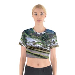 Rice Terrace Rice Fields Cotton Crop Top by Nexatart