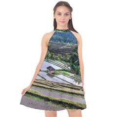 Rice Terrace Rice Fields Halter Neckline Chiffon Dress  by Nexatart