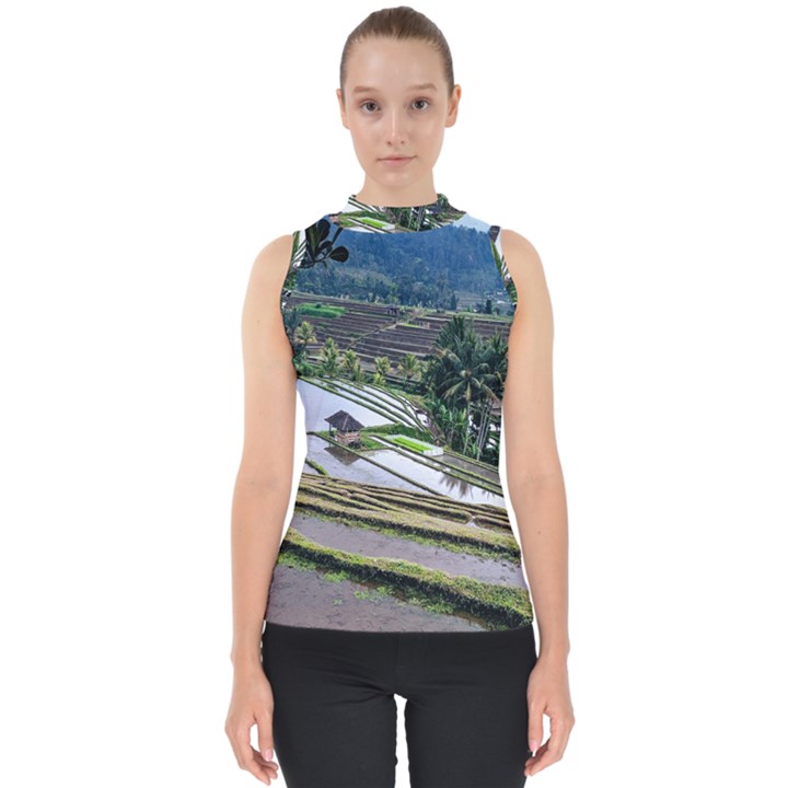 Rice Terrace Rice Fields Shell Top