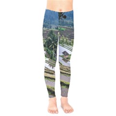 Rice Terrace Rice Fields Kids  Legging by Nexatart