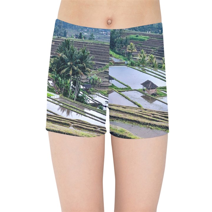 Rice Terrace Rice Fields Kids Sports Shorts