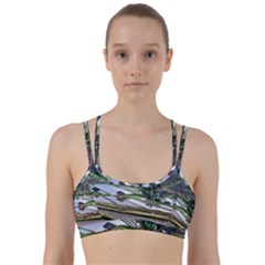 Rice Terrace Rice Fields Line Them Up Sports Bra