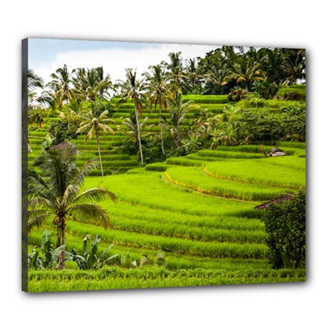 Rice Terrace Terraces Canvas 24  X 20  by Nexatart