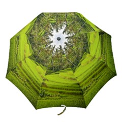 Rice Terrace Terraces Folding Umbrellas by Nexatart