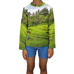 Rice Terrace Terraces Kids  Long Sleeve Swimwear by Nexatart