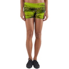 Rice Terrace Terraces Yoga Shorts