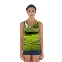 Rice Terrace Terraces Sport Tank Top  by Nexatart