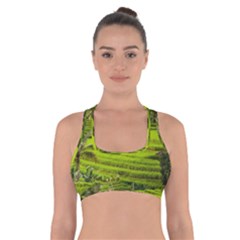 Rice Terrace Terraces Cross Back Sports Bra by Nexatart