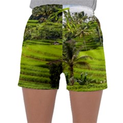 Rice Terrace Terraces Sleepwear Shorts