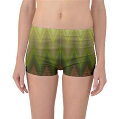 Zig Zag Chevron Classic Pattern Boyleg Bikini Bottoms by Nexatart