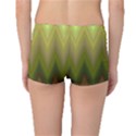 Zig Zag Chevron Classic Pattern Boyleg Bikini Bottoms View2