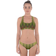 Zig Zag Chevron Classic Pattern Cross Back Hipster Bikini Set