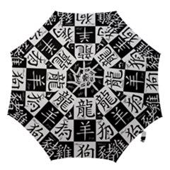 Chinese Signs Of The Zodiac Hook Handle Umbrellas (small) by Nexatart