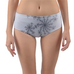 Mandelbrot Apple Males Mathematics Reversible Mid-waist Bikini Bottoms by Nexatart