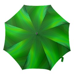 Green Background Abstract Color Hook Handle Umbrellas (large) by Nexatart