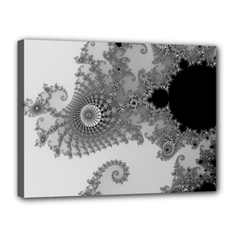 Apple Males Mandelbrot Abstract Canvas 16  X 12  by Nexatart